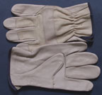 5320. Grain cowhide driver, wing thumb, natural cotton drill back. S-XL. PRICE PER DOZEN.